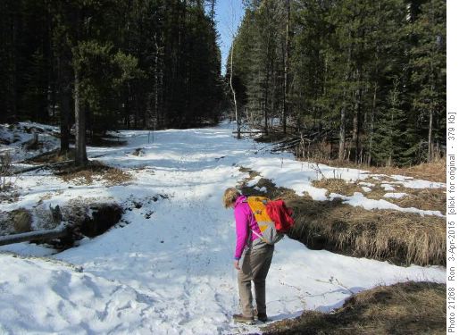 A bit of snow and ice on Sulphur Springs trail