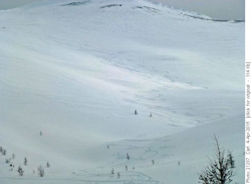 Our turns in nice virgin breakable wind crust below Purple Peak
