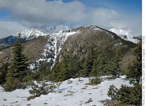 Final hill with Holy Cross Mtn and Mt Head in the distance