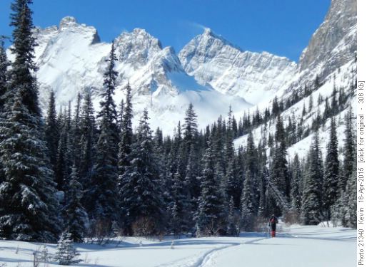 Heading up the French Creek drainage