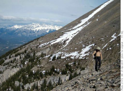{607 Damian G} on the direct route above the trees