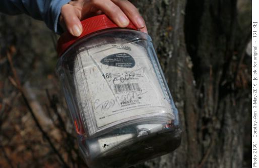 Geocache found at the view point