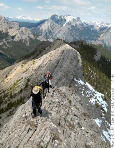 Along the upper ridge