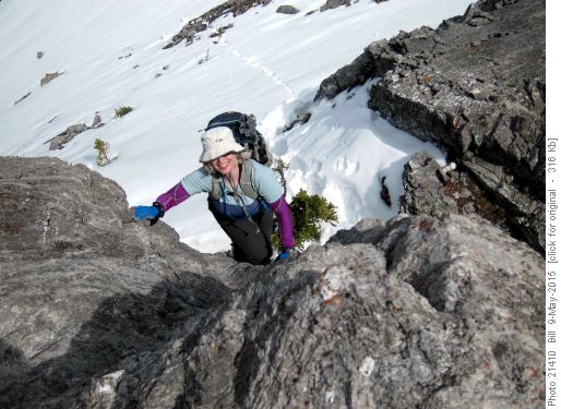 {1566 Jane C} climbing the crus