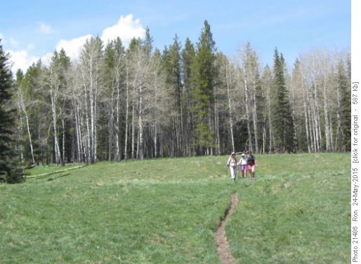 {1314 Barb Brunton}, {212 Dav Mulligan} & {279 Maria Gali} in Missinglink meadows