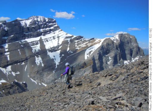 Mt. Lawrence Grassi from The Orphan