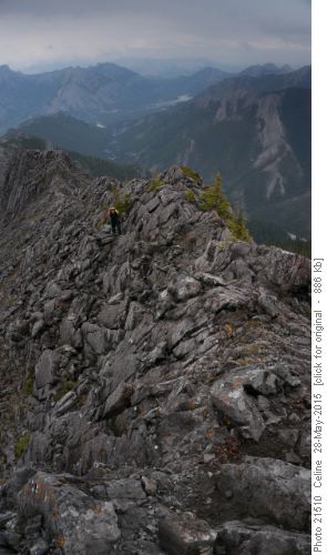 {976 Jeannette PROCTER} walking the final stretch