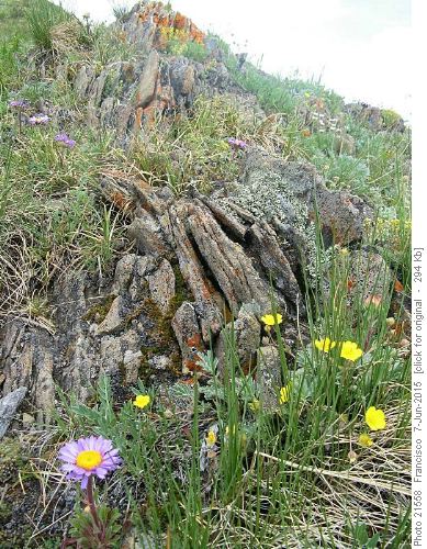 a beautiful rock garden