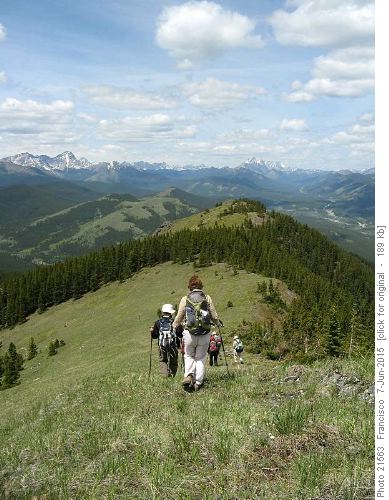 North along the ridge