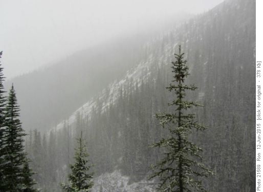 View from Baldy Pass trail: snow in June