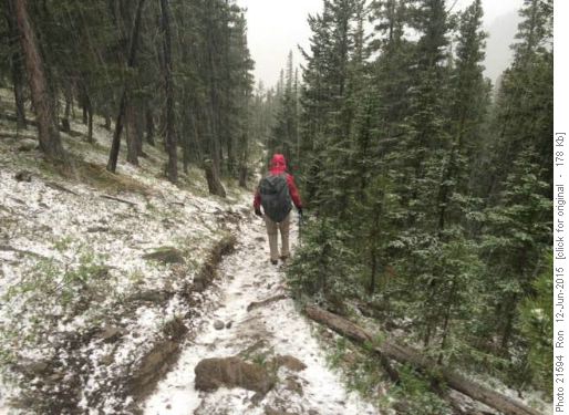 Graupel on the Baldy Pass trail