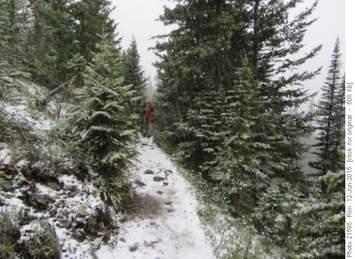 Now even more graupel on the Baldy Pass trail
