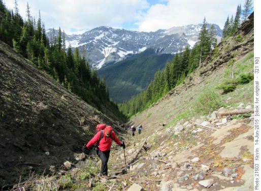 John and the group emerging from the creek
