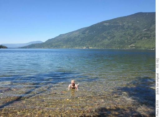 Celine cooling off in Shuswap Lake.