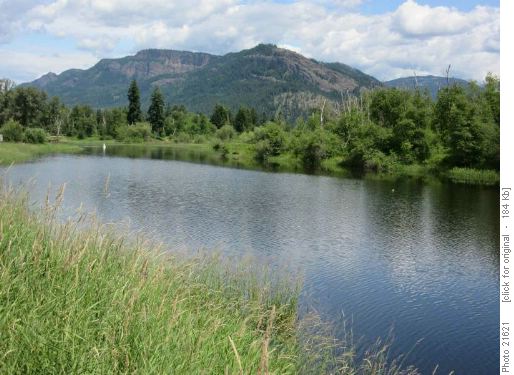 Enderby Cliffs from Shuswap River in Enderby