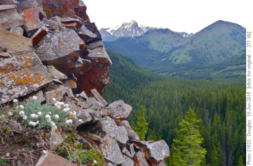 Rock pillar before drop to Picklejar Lakes with the 2 peaks we went up in front of Mist Mt