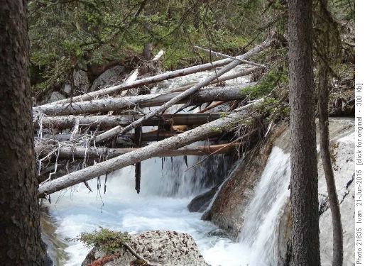 Ribbon Creek