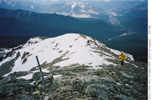 Mount Burke trail from summit