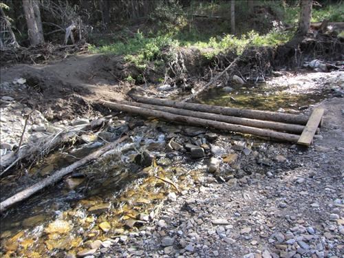 Makeshift bridge over Pigeon Creek