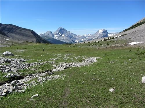 Meadows below Rummel Pass; Birdwood & Smuts in distance