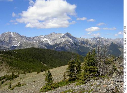 Holy Cross Mt and Mount Head WNW from Bull Ck Hills Summit