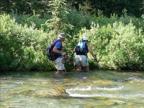 Refreshing return to cars