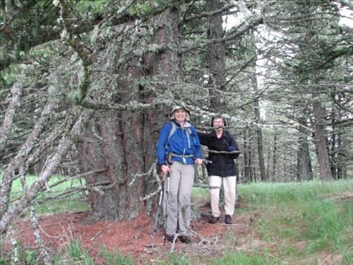 Jane and Mary with four-trunk Douglas fir cluster on Black Mountain