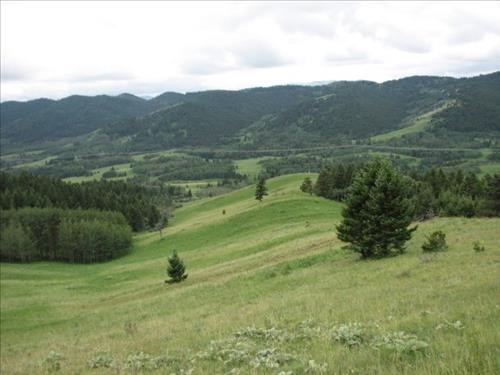 Descent ridge from Black Mountain down to Black Creek valley