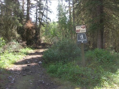 Centennial Trail sign (near old bridge)