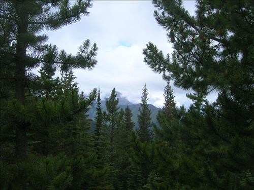 Glimpse of cloudy Wind Ridge