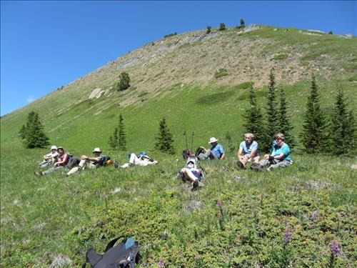 Ambitious Ramblers prepare themselves for the bushwhacking section of the Mt. Lipsett loop