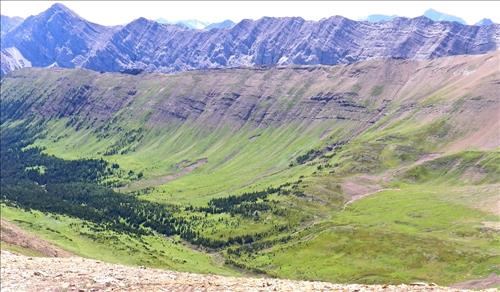 Lush green Paradise Valley