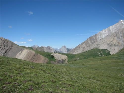 Alpine meadows on the col between the two Opal Ranges