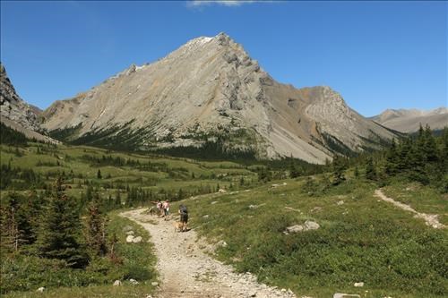Valley facing Tombstone Mtn