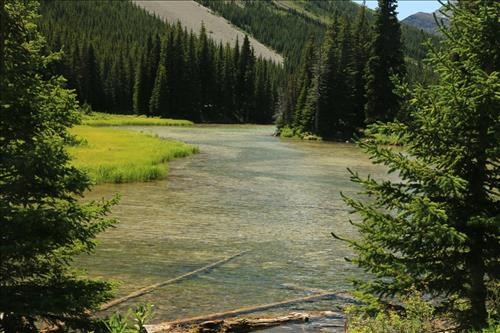 Outlet from Elbow Lake