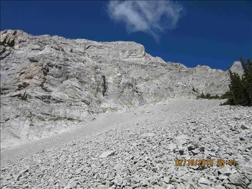 East side of Wintour Mtn, South Ridge.