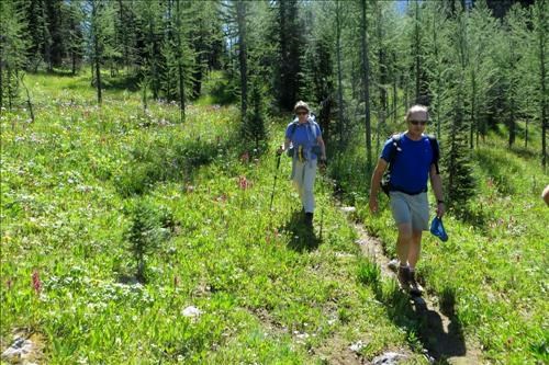 Aldis and Ross coming down through the trees just below the Ramparts. 
