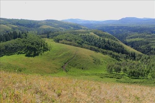 Trail leads east towards K Country boundary