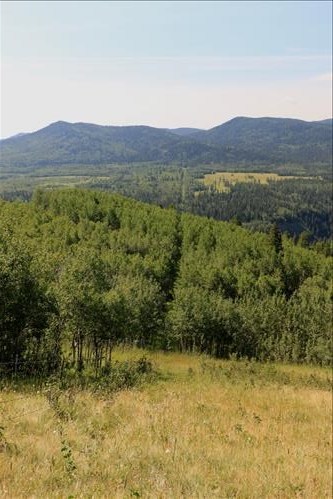 Looking down fence line from top of Hill #2