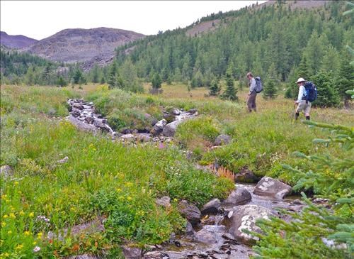 Entering the meadows