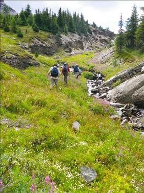 Lush flowers along the upper streams
