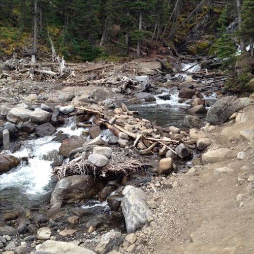 Sarraill Creek Crossing