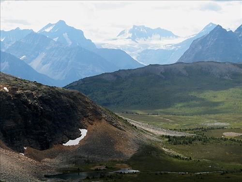 Verdant pass with the Hooker icefield to the SW