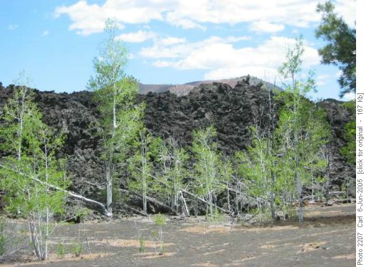 Bonito Lava Flow