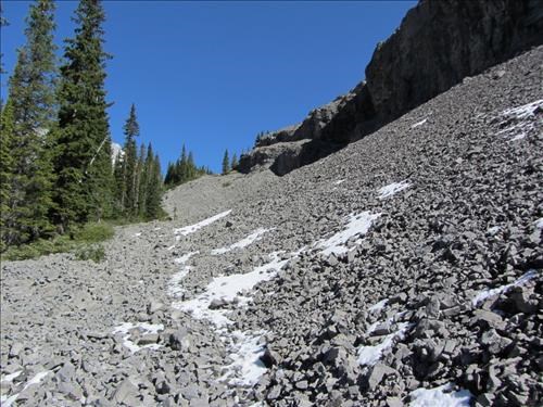 Near tree line - James Walker valley