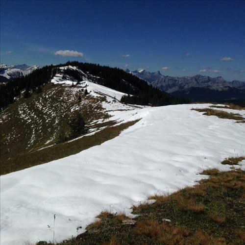 Cox Hill Snowy Ridge