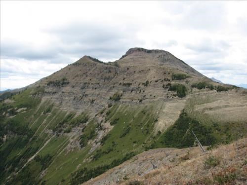 Forster Mountain--a ridge too far