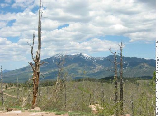 San Francisco Peaks