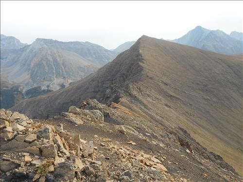 looking east along scramble ridge 