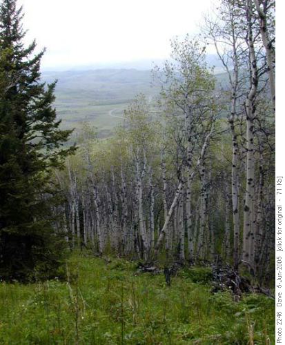 Trail at north end